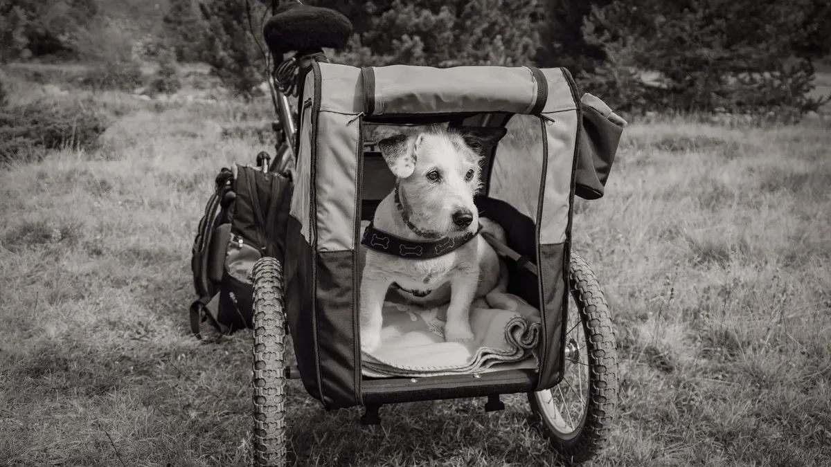 Small dog carrier with multi-side breathable mesh for cross-ventilation