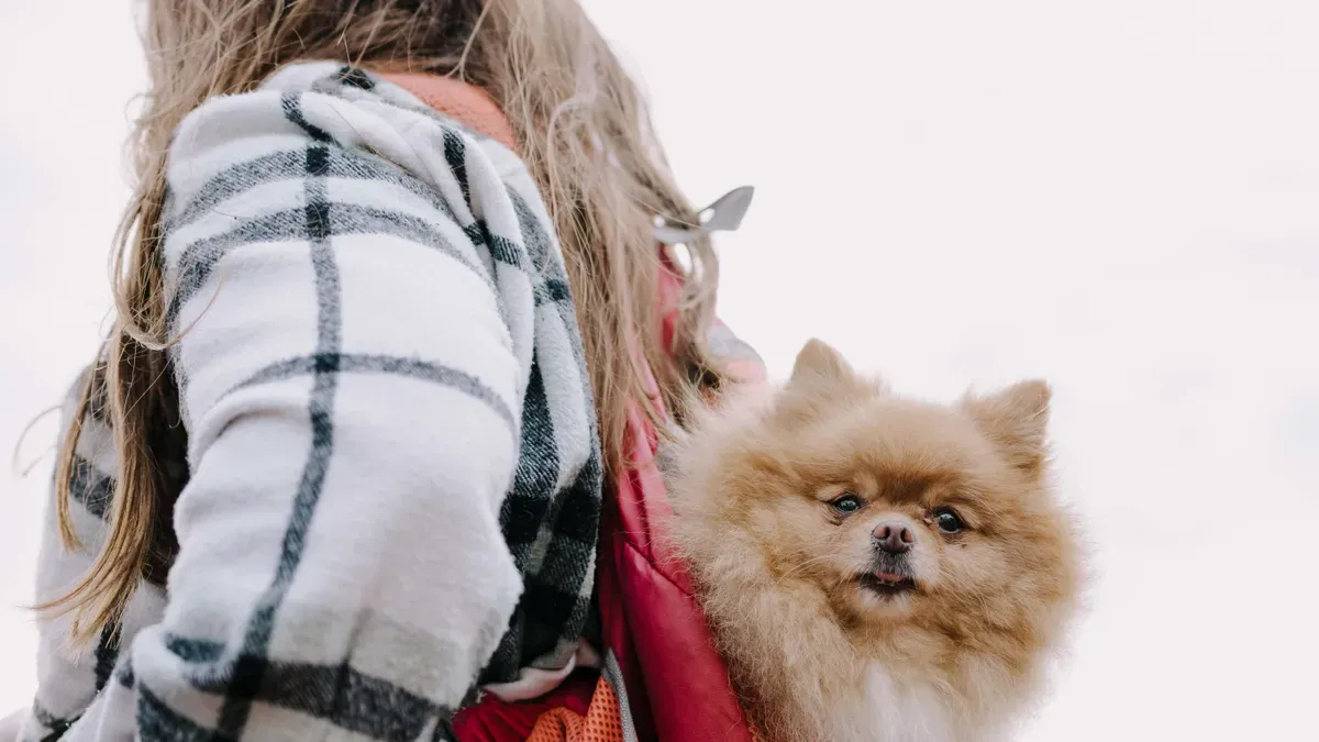 Backpack dog carrier with mesh ventilation panels on sides and front