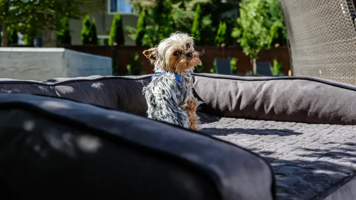 Stable dog car seat bed with firm base and non-slip underside on a car seat
