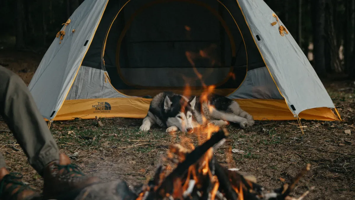 Dog resting inside ventilated portable shelter at campsite
