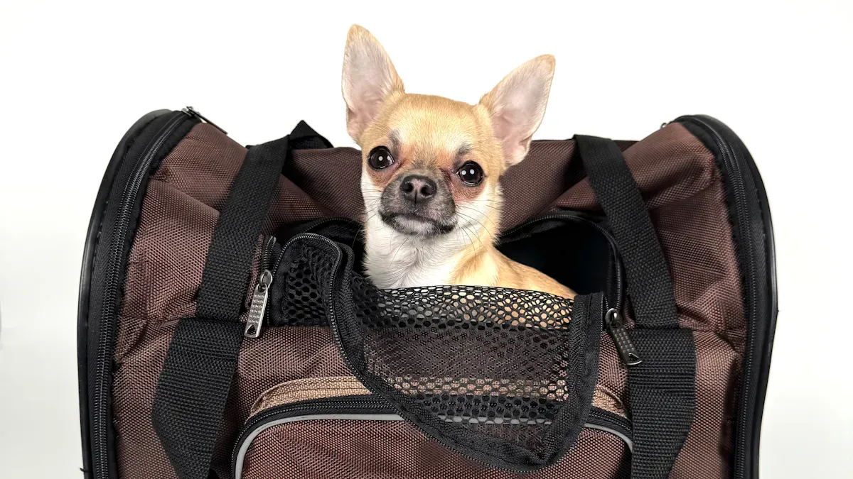 Soft-sided dog carrier with mesh ventilation panels on multiple sides