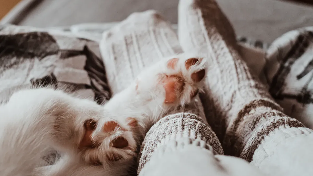 Dog resting on an outdoor bed beside a sheltered area
