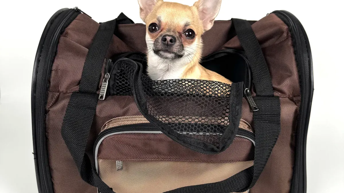 Mesh-sided sling carrier with structured opening for airflow