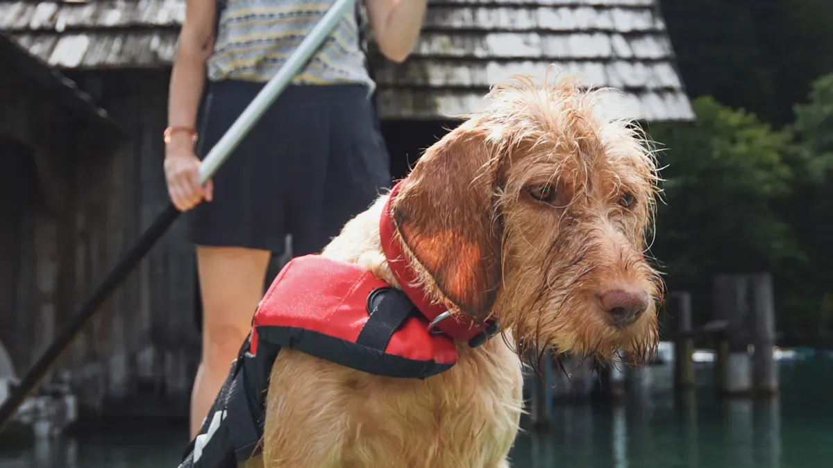 Small dog swimming in a low-bulk life jacket with clear shoulder movement