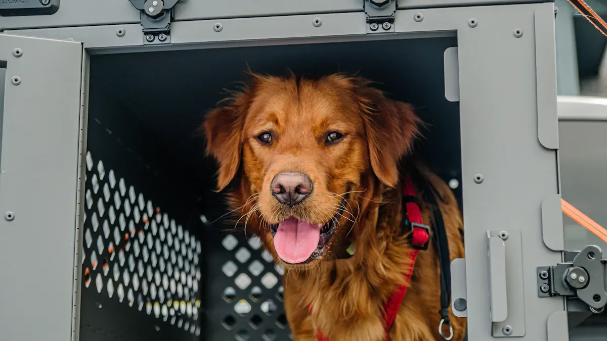 Pet carrier being carried through an airport terminal