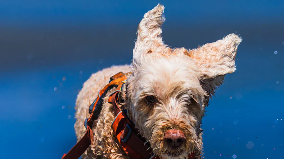 Dog swimming comfortably in a life jacket with soft armhole binding and flexible chest panel
