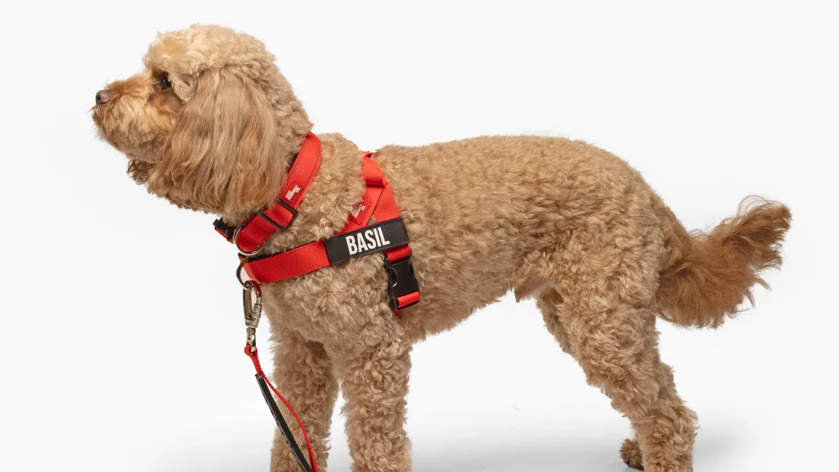 Close view of a large dog wearing a padded harness