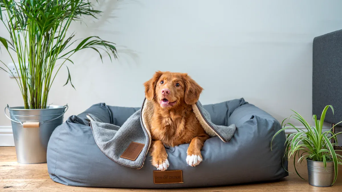 Flat mattress dog bed with low bolster edge suitable for medium dogs that stretch