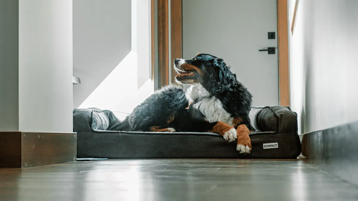 Dog resting on a durable bed indoors