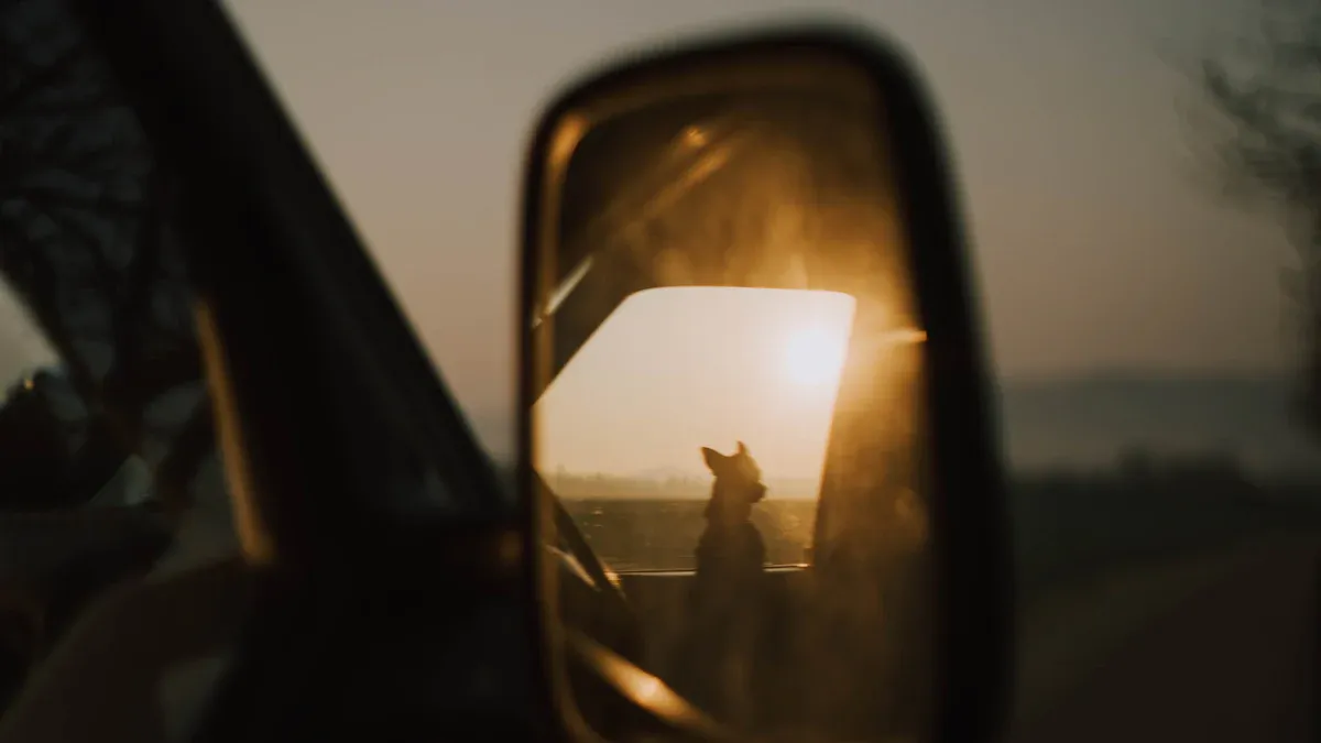 close inspection of dog harness buckle hardware and tether connection before driving