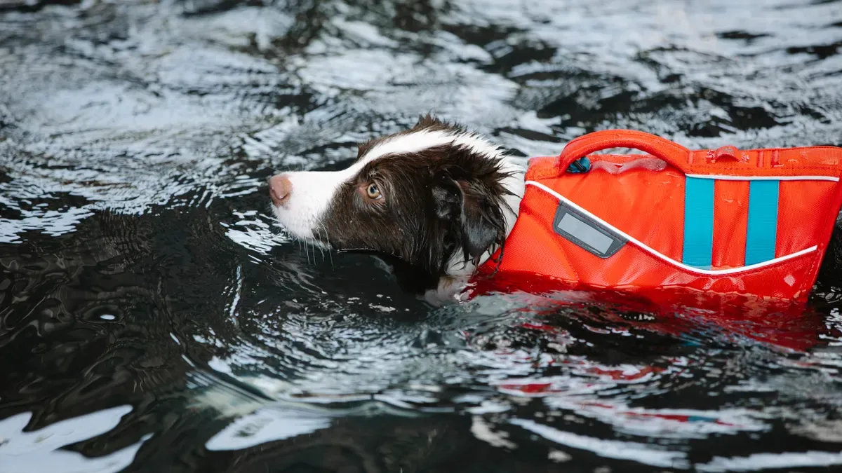 Dog life jacket with balanced chest and side flotation panels