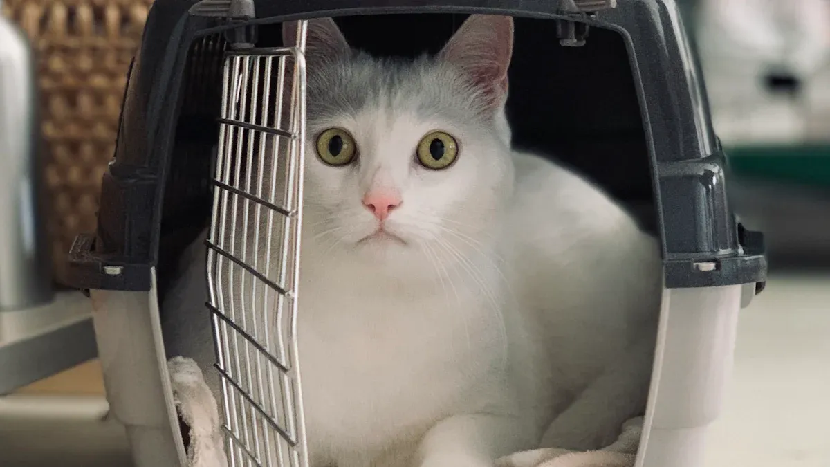 Soft-sided pet carrier with flat base and flexible frame for airline travel