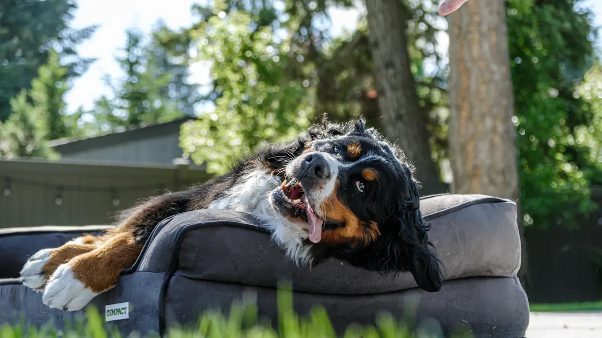 Raised outdoor dog bed in a campsite setting
