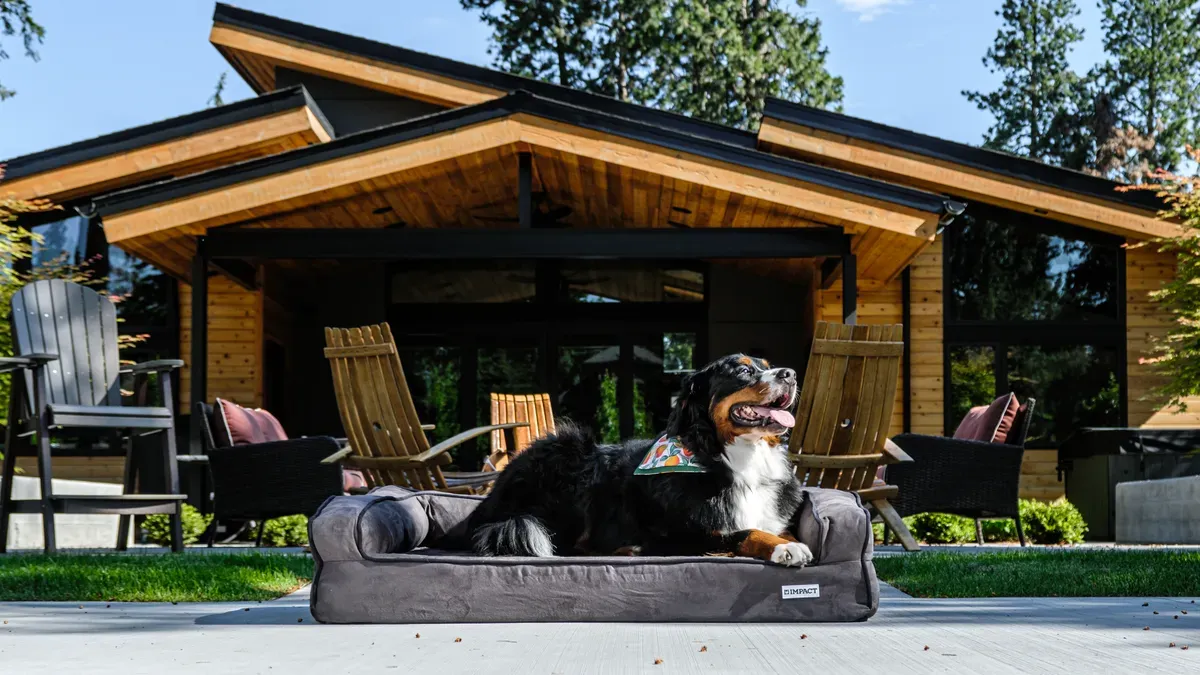 Steel frame elevated dog bed with mesh surface and rubber feet