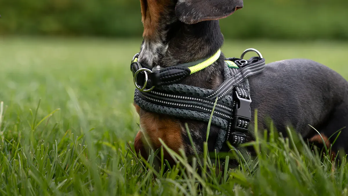 Low-bulk spiked harness with outer-zone spike placement