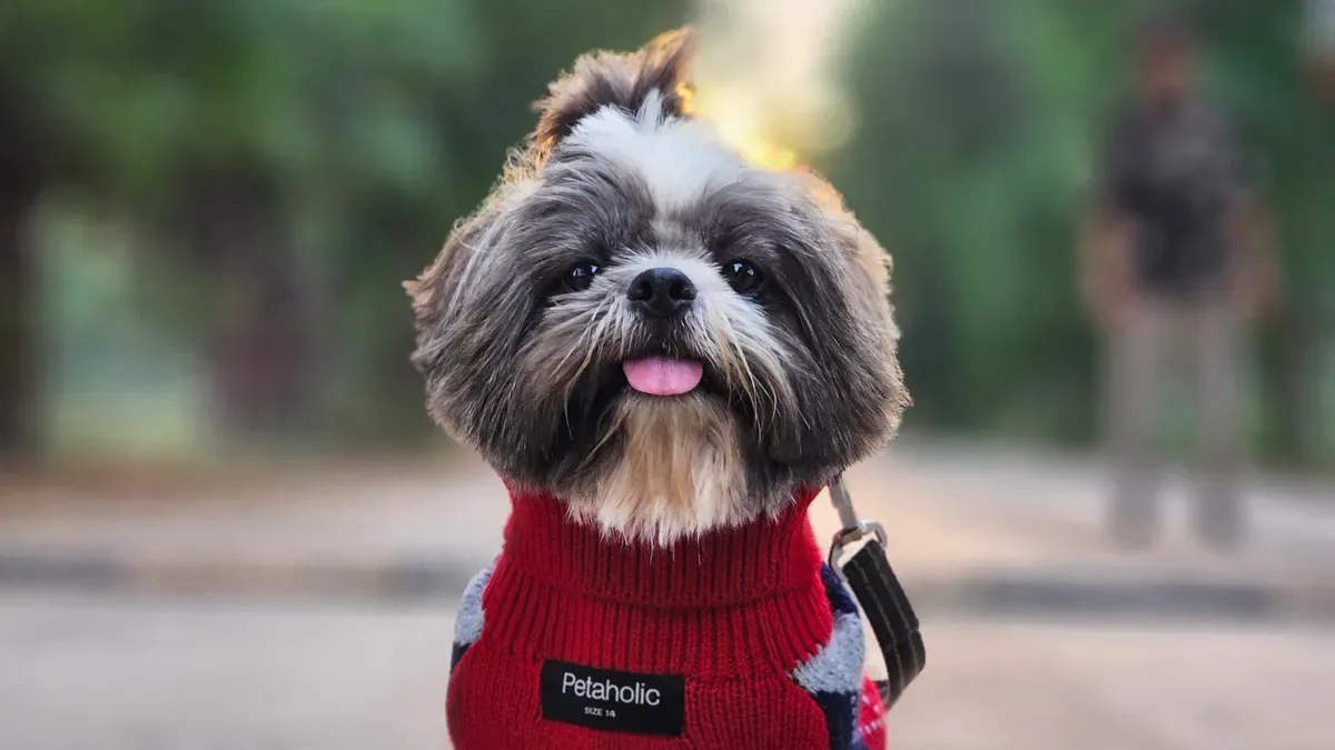 Dog life jacket with short belly panel and high leg cut design