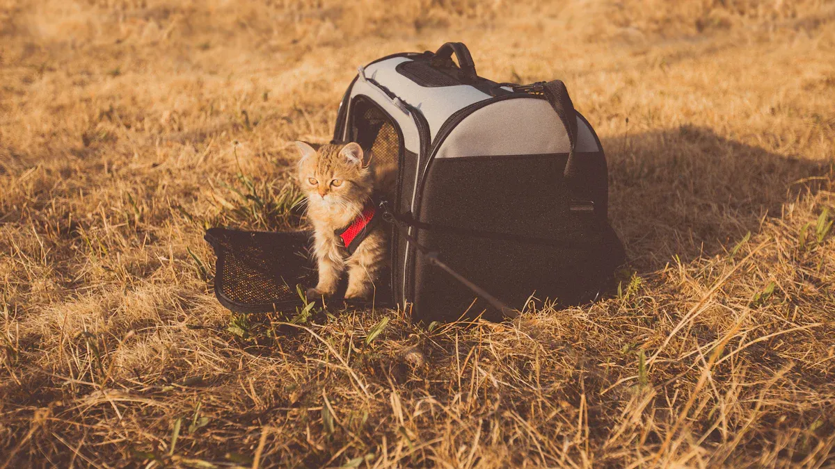 Side-by-side comparison of mesh panel placement on different dog backpack carriers