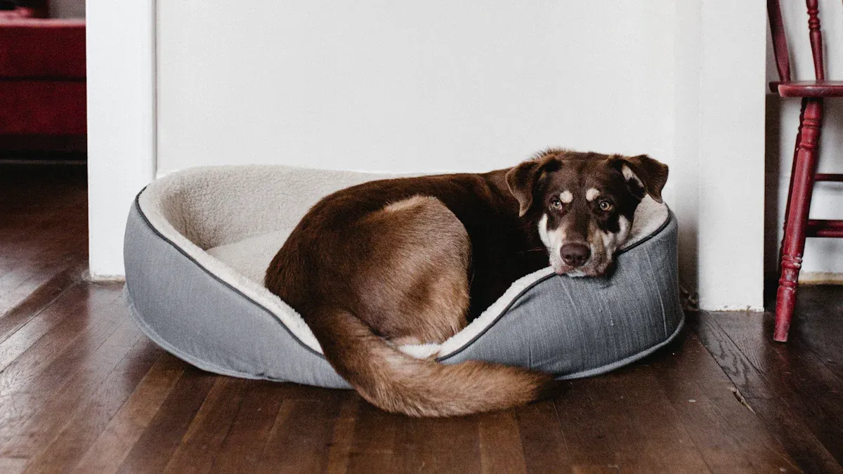 Extra large elevated dog bed in an open room showing airflow gap beneath suspended mesh surface