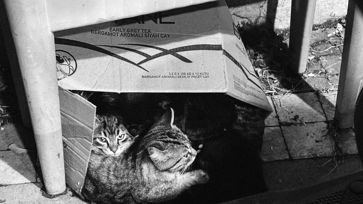 Reinforced cat tunnel bed with structured ring support