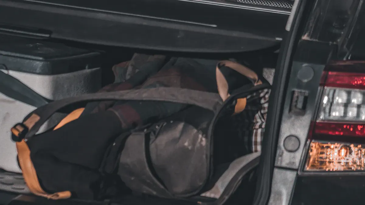 Close-up of dog carrier backpack waist belt and sternum strap adjustment points