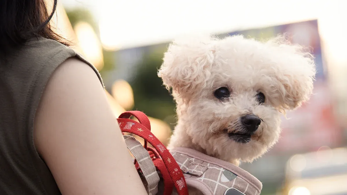 Chest strap keeping dog carrier backpack shoulder straps centered and stable