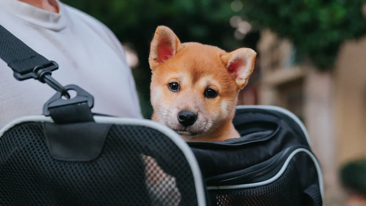 Supportive dog carrier with stable positioning design