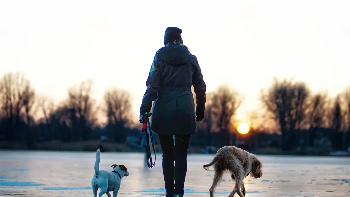 Wider reflective panel comparison across leash surfaces