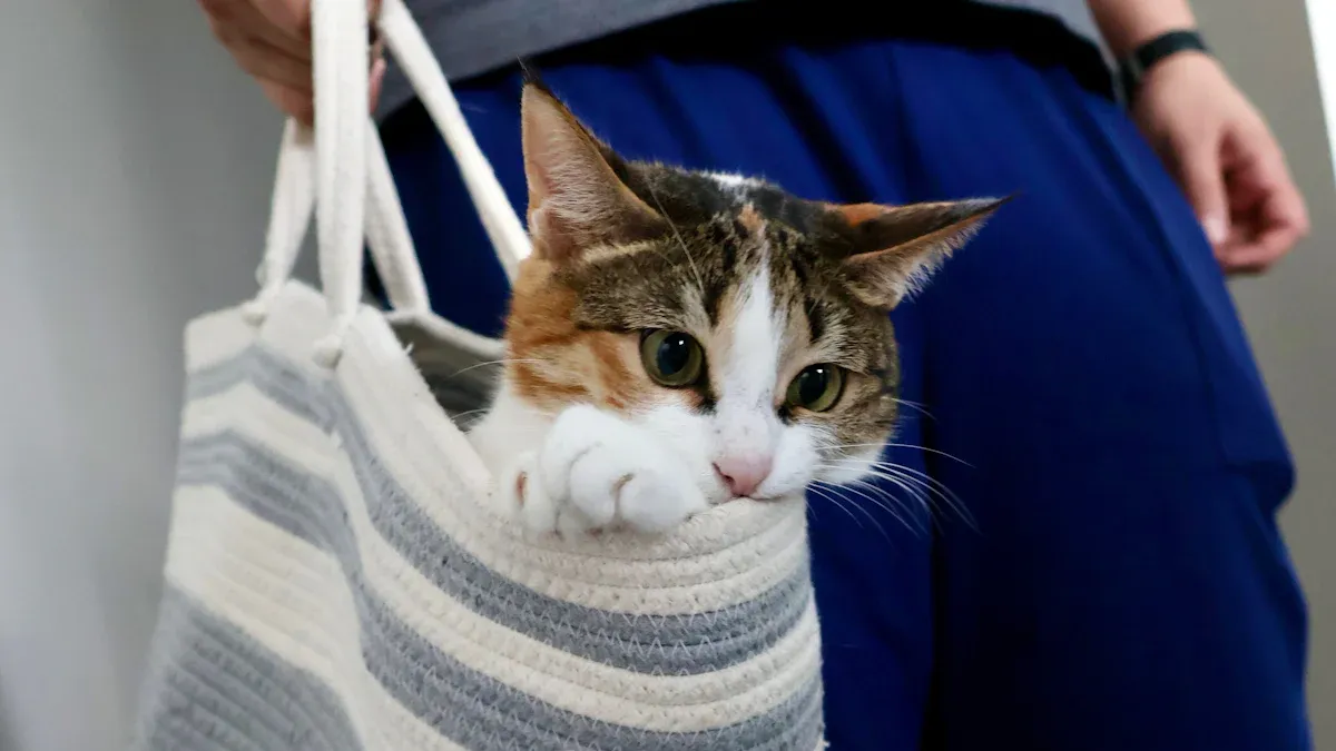 Wheeled pet carrier exterior dimensions versus actual interior space