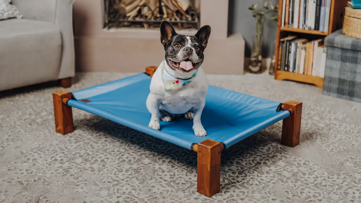 Dog perched at the edge of an elevated bed showing reluctance to settle