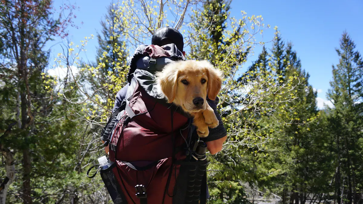 Dog wearing an adjustable hiking backpack with side saddlebags