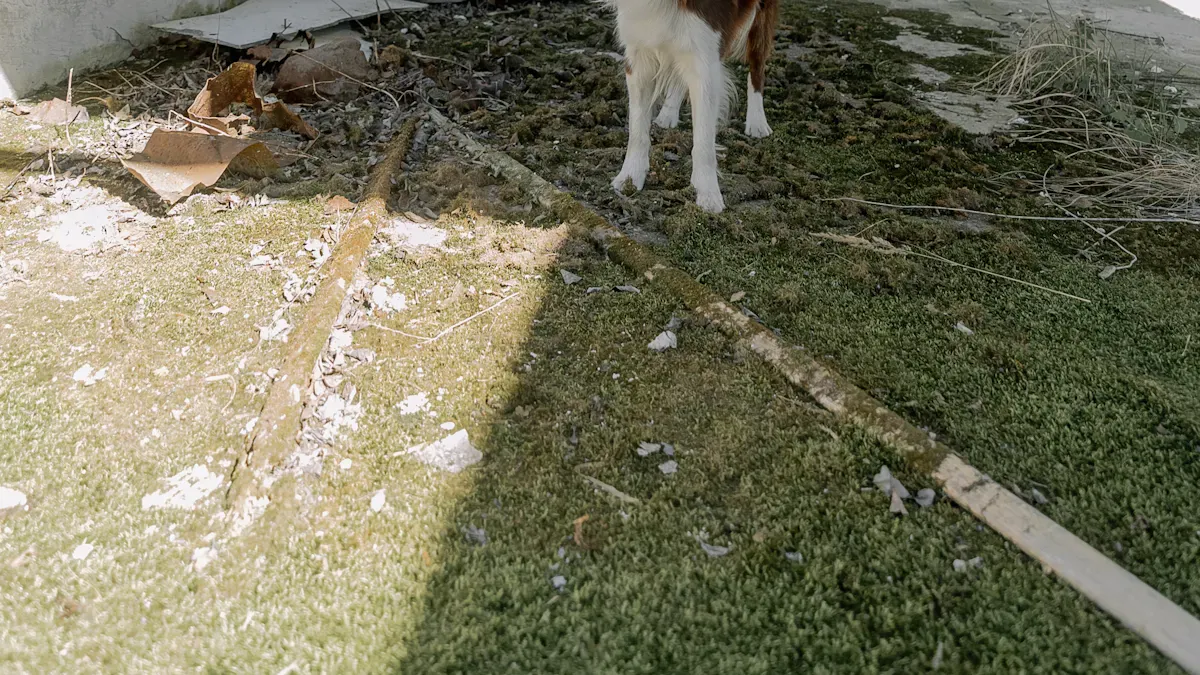 raised dog bed used indoors