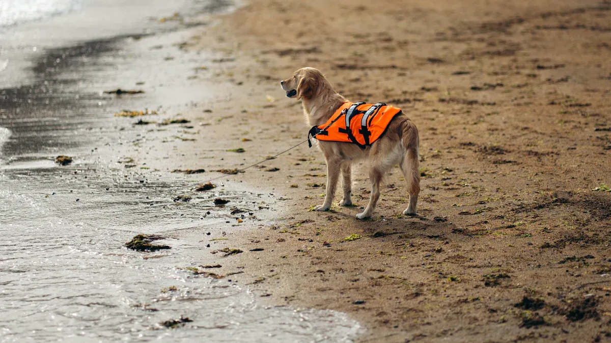 Structural comparison of dog swim vest and life jacket panel layout