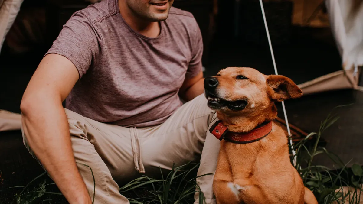 Dog camping setup with tent shade and proper ground coverage
