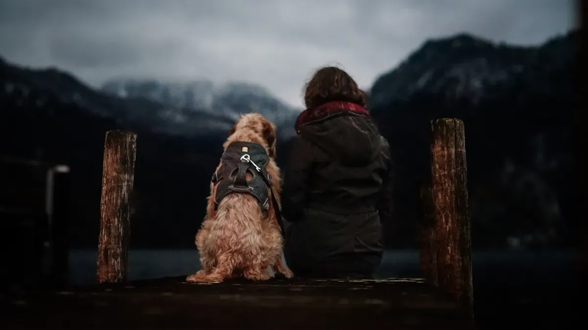 Close-up of dog life jacket side panel and strap design