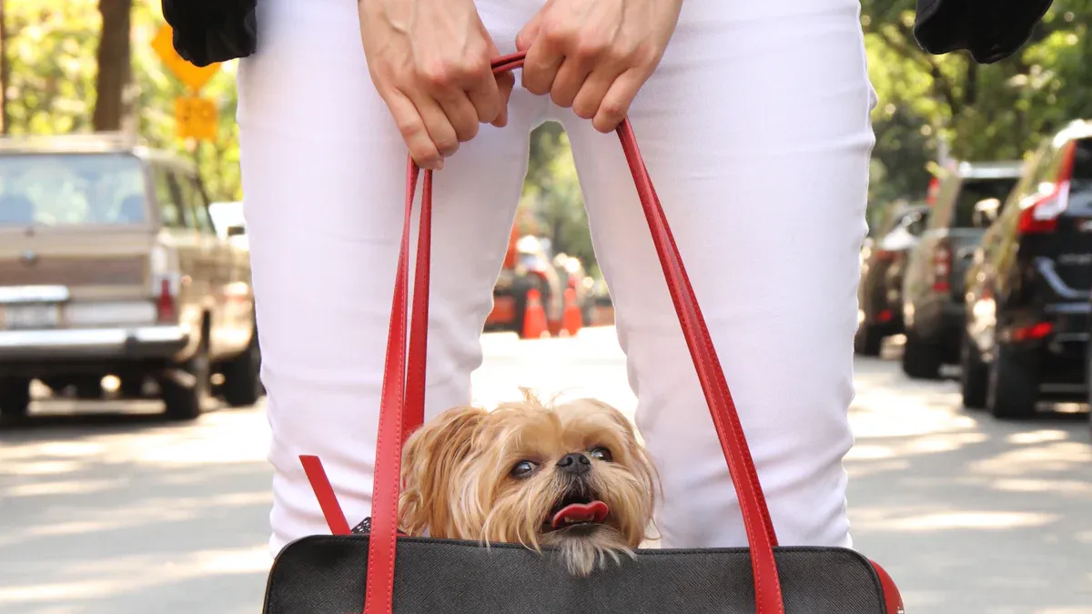 Three types of dog carriers displayed for comparison of use cases