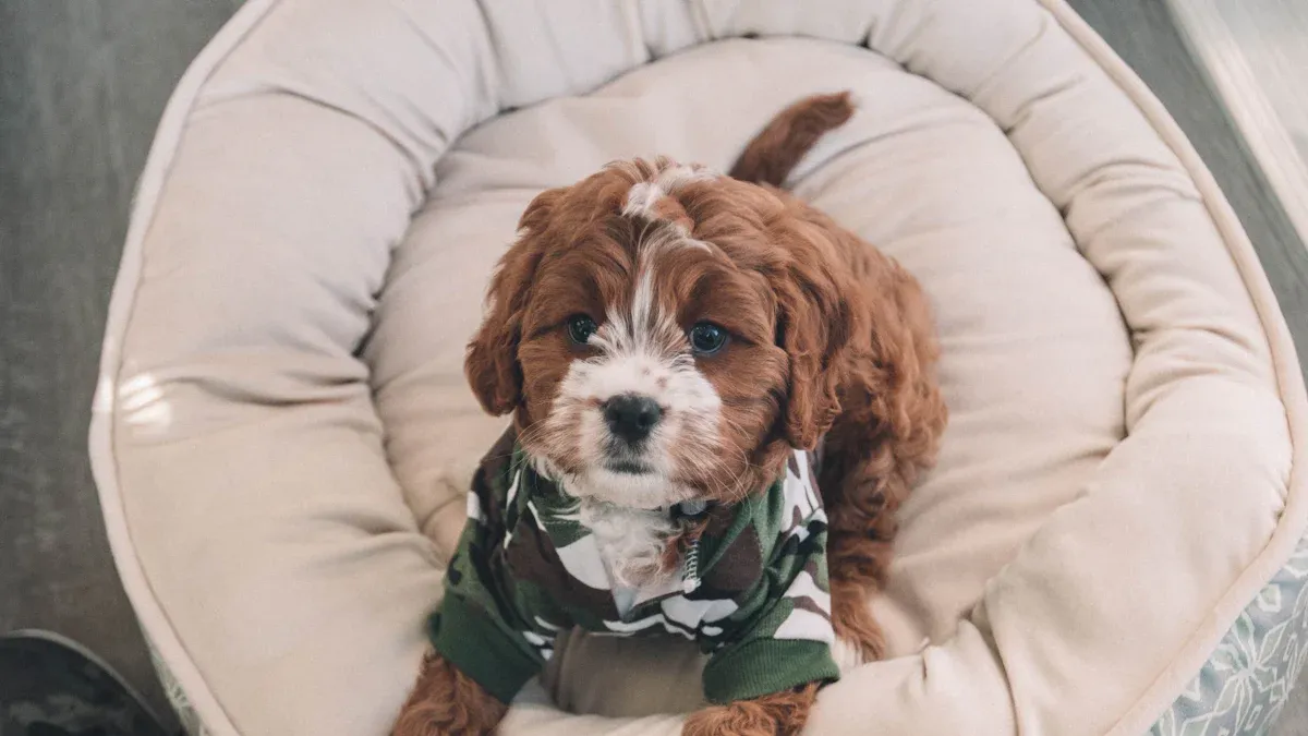 Large dog bed washable setup checked for dry seams