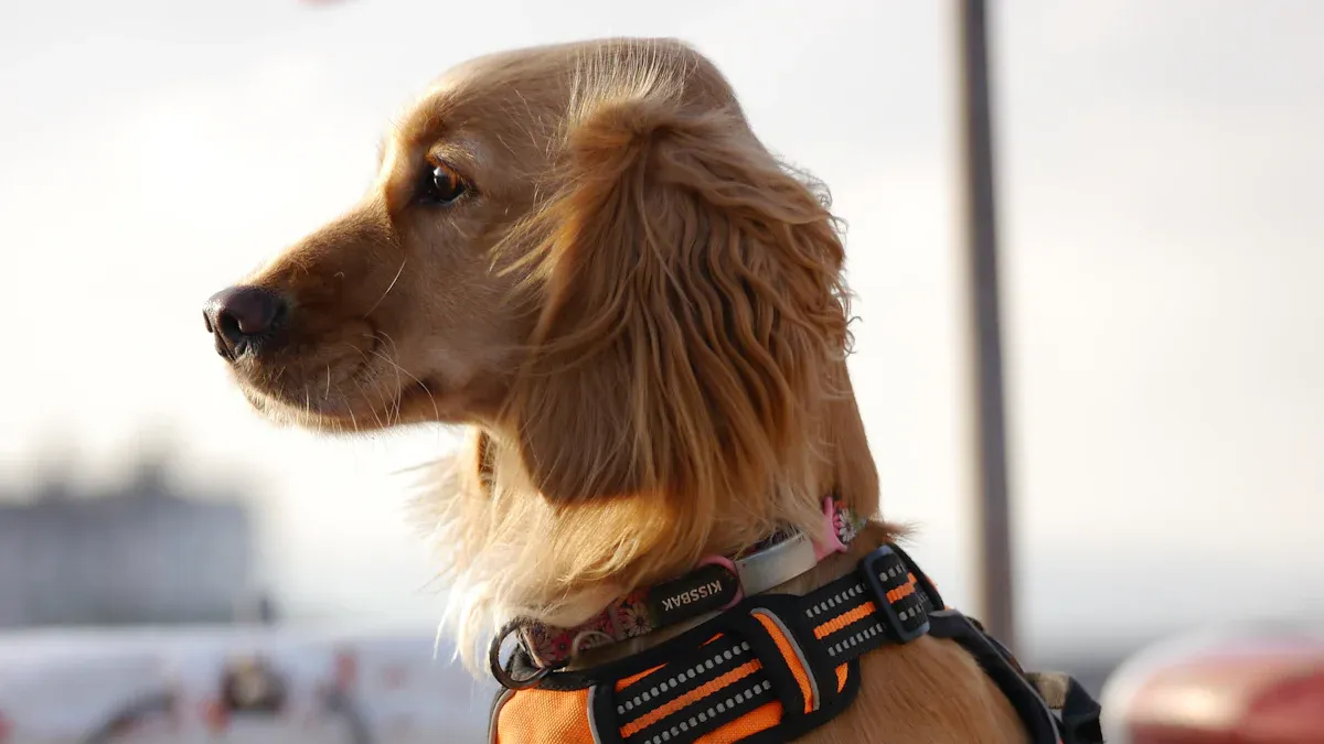 Dog life jacket with balanced strap design and centered handle placement
