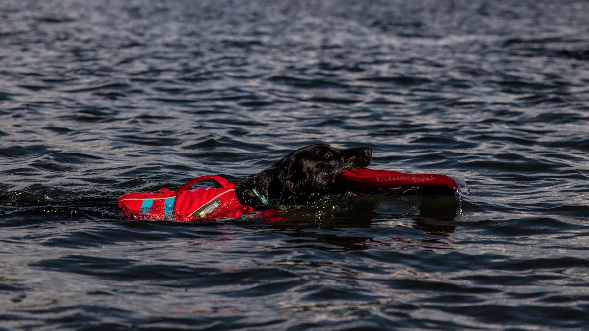 Dog wearing a life jacket near the water