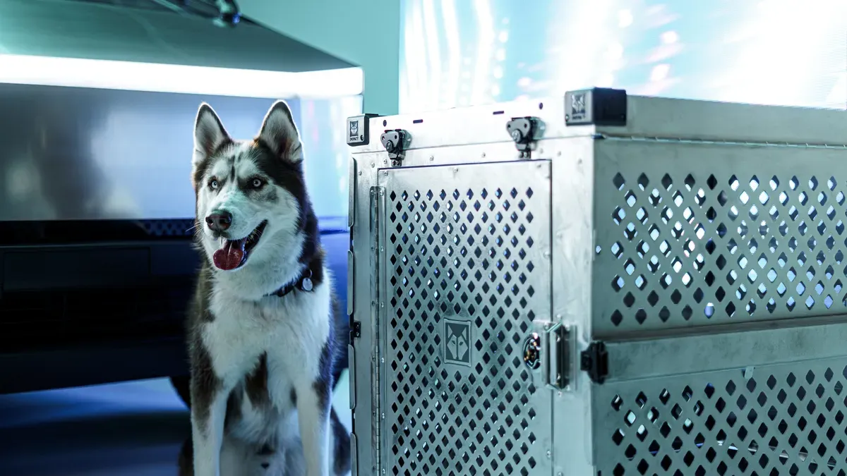 Foldable soft-sided dog carrier stored flat under hotel bed
