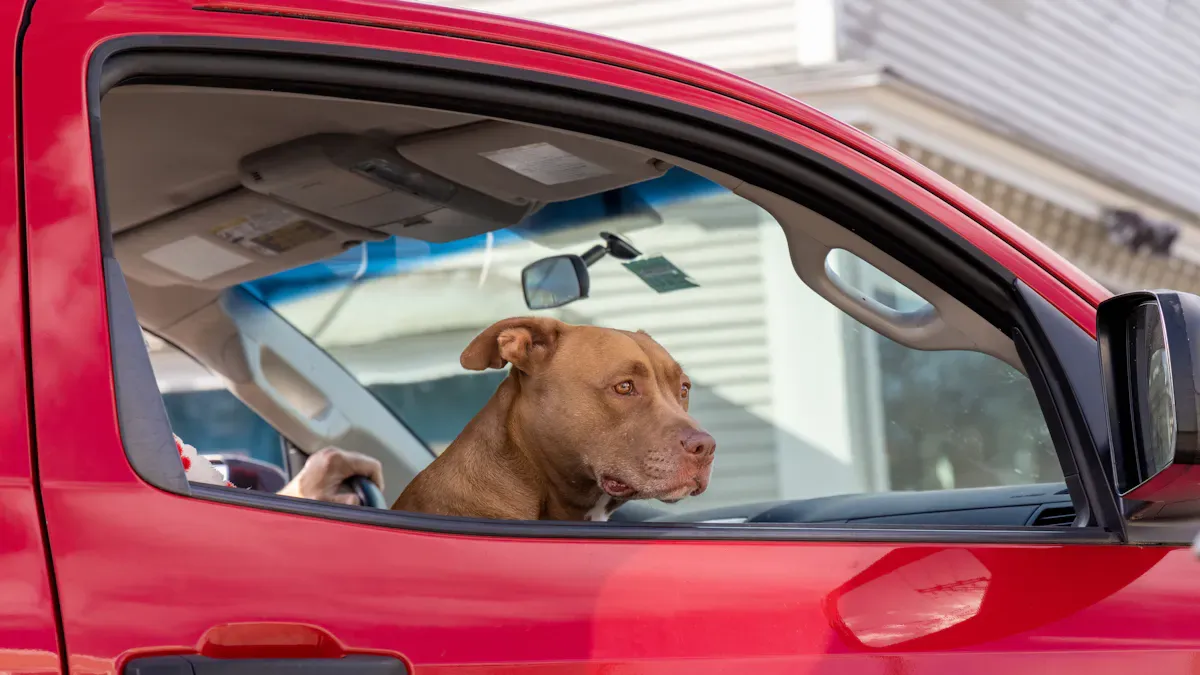 Dog seat cover installed on split rear car bench