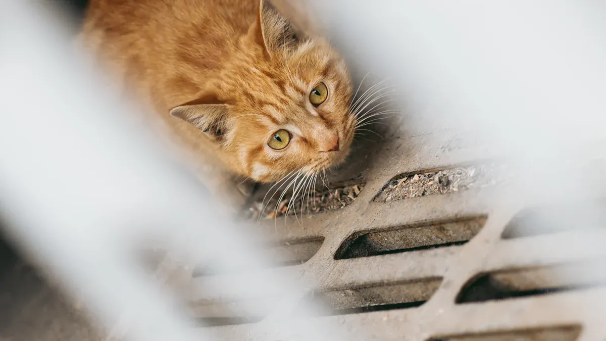 dog checking metal dog bed setup before settling down