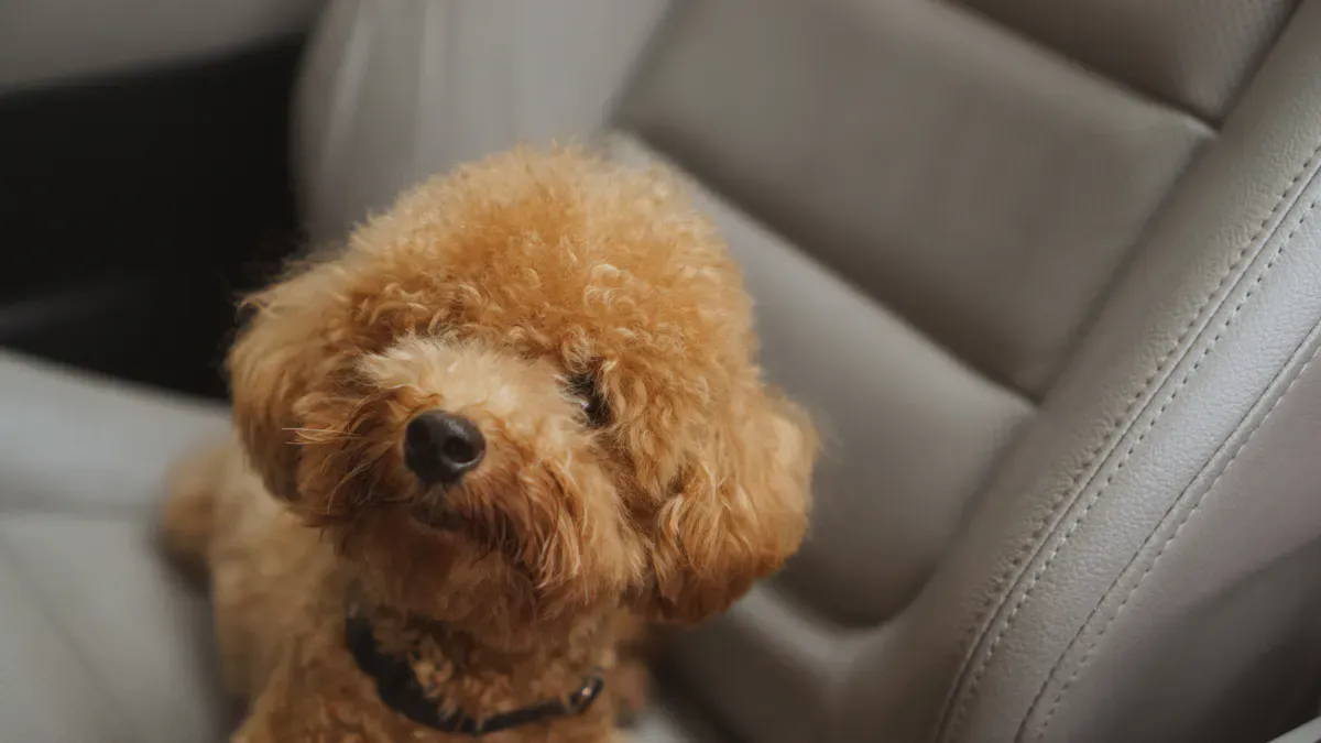 Textured dog car seat cover surface with secure anchor straps