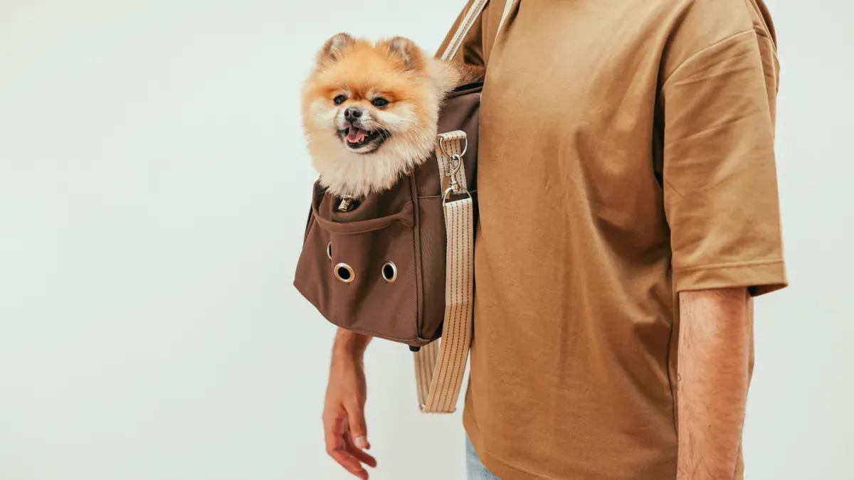 Soft-sided pet carrier with structured frame panels maintaining interior shape under compression