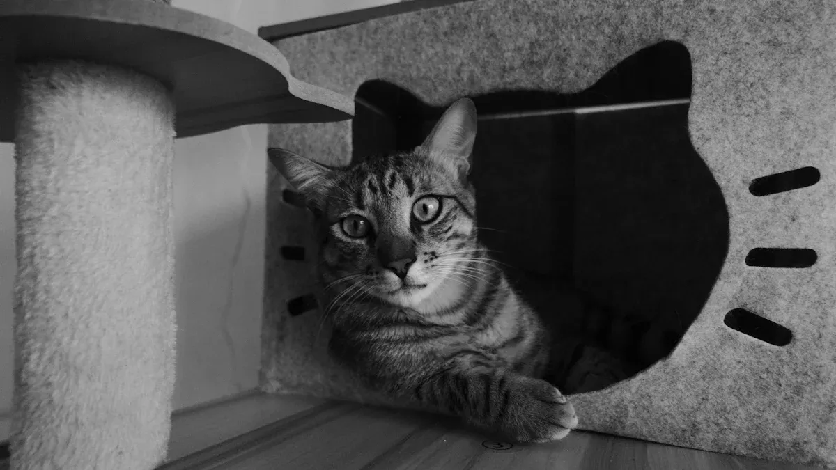 Cat peering out from a single-entrance cave bed