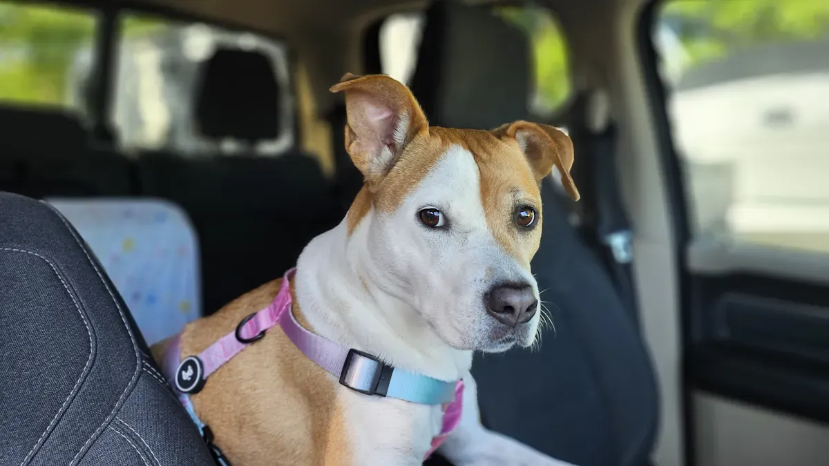 Dog settled in a booster seat with a travel harness