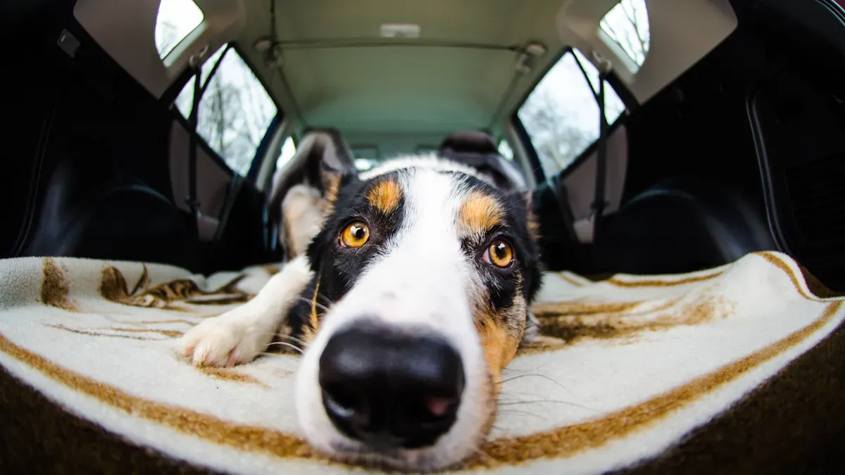 Large dog stepping into a rear-seat travel seat