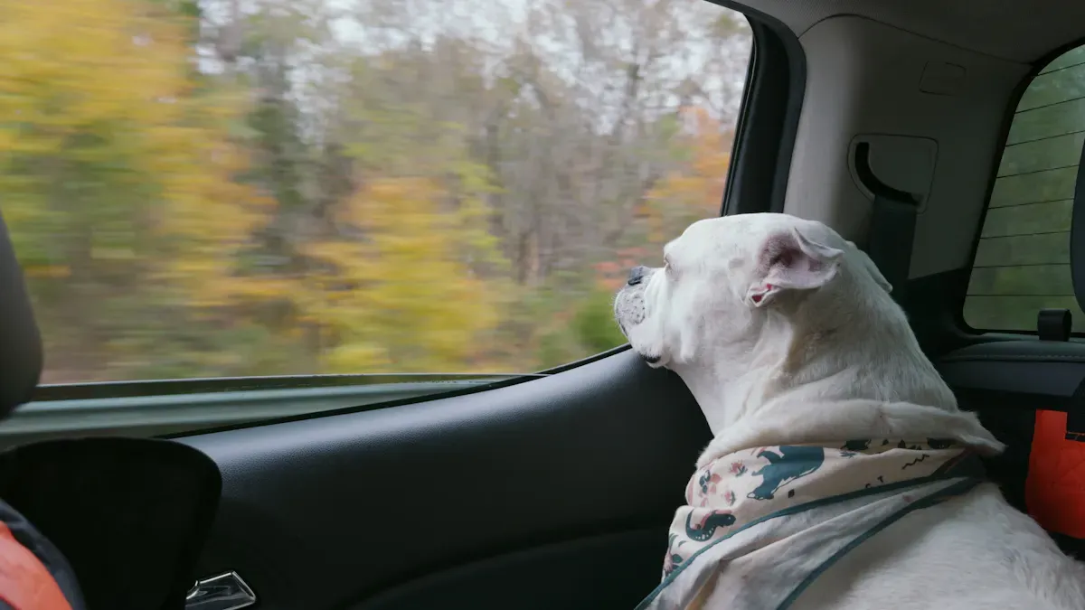 dog car booster seat small fit with room and support