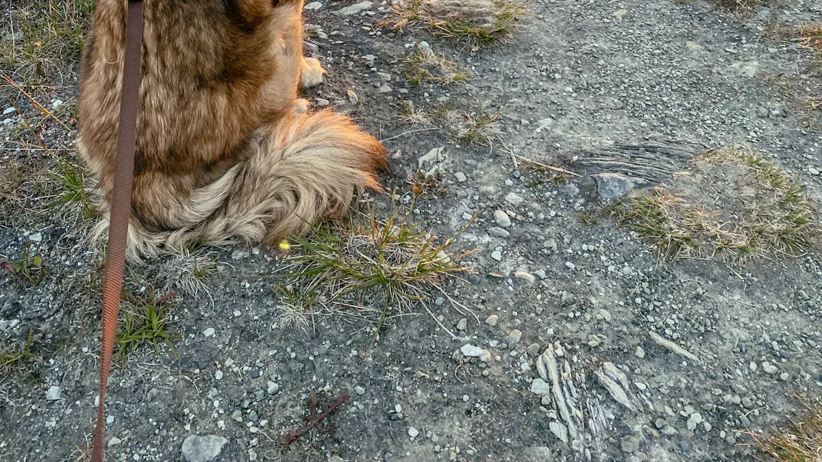 Escape resistant dog harness checked for neck gap and shift