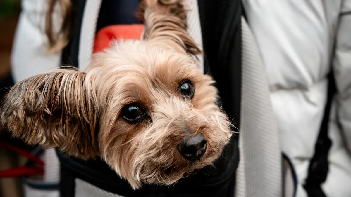 Dog carrier backpack with narrow opening showing entry difficulty