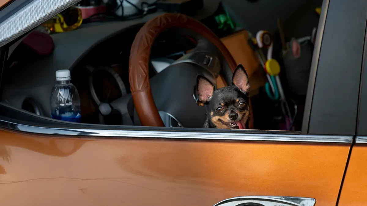 Close-up of dog hair trapped in car seat cover seams